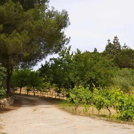 Meublés De Tourisme Casa Erbaggio