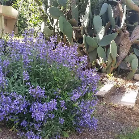 Appartement Meublés De Tourisme Casa Erbaggio *