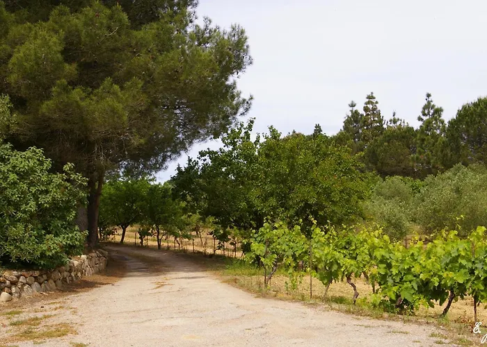 Meublés De Tourisme Casa Erbaggio