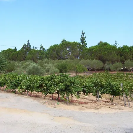 Meublés De Tourisme Casa Erbaggio Appartamento *