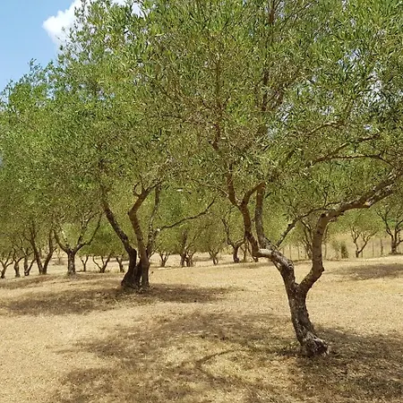 Meublés De Tourisme Casa Erbaggio *