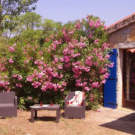 Meublés De Tourisme Casa Erbaggio Appartement Sartène