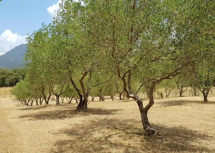 Meubles De Tourisme Casa Erbaggio *