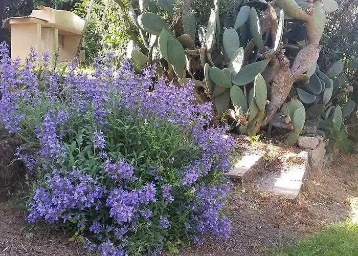 Appartement Meubles De Tourisme Casa Erbaggio *