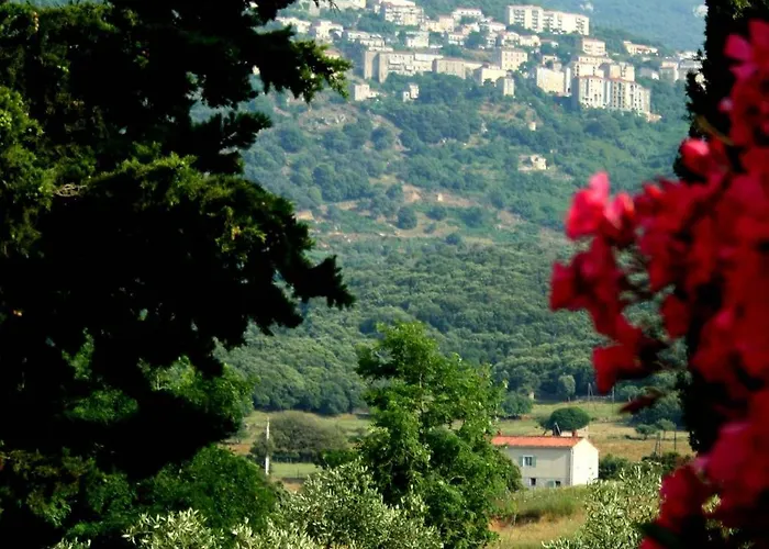 Meublés De Tourisme Casa Erbaggio * Sartène